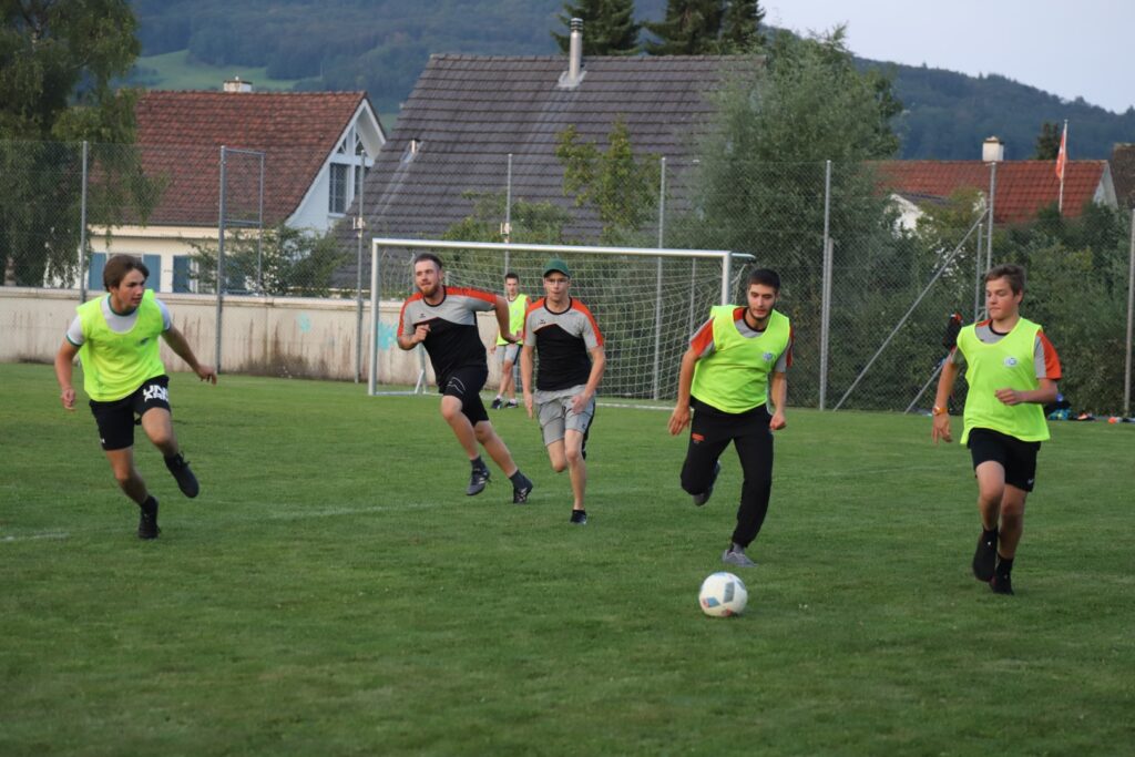 DEDFC0F2-8061-4A42-A8E0-05ACB35EF569 (Groß) DEDFC0F2-8061-4A42-A8E0-05ACB35EF569 (Groß)